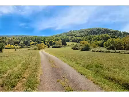 maison à vendre à siorac-en-périgord (24170) - dordogne
