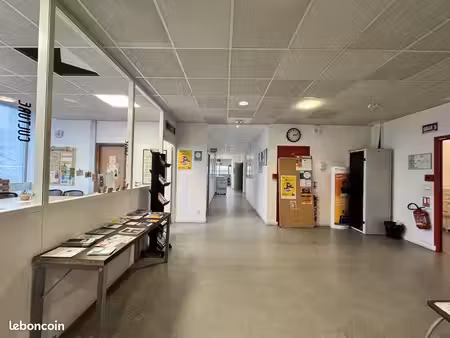 bureau 480 m²