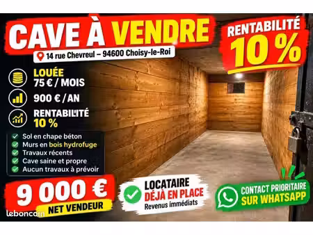 investissement locatif – cave déjà louée – rentabilité 10 %