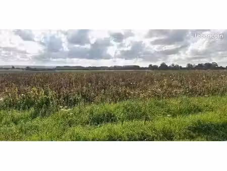 terrain 1 564 m² gonneville en auge