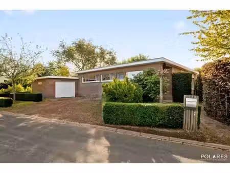polares - your way to real estate