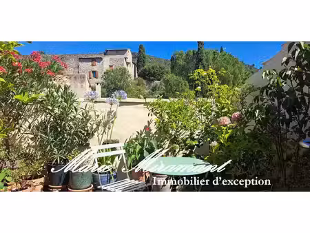 hôtel particulier vaison-la-romaine (84)