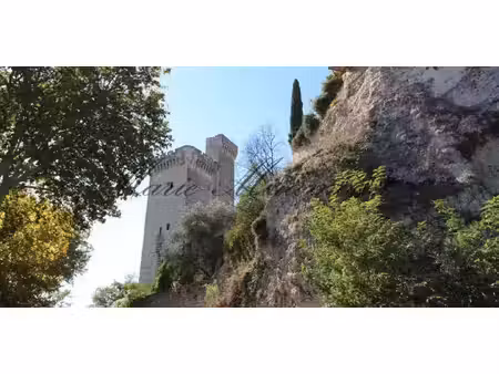 maison avec jardin et terrasse villeneuve-les-avignon (30)