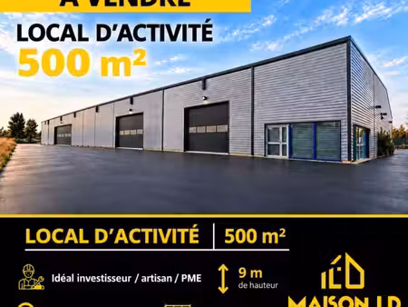local d'activité 500 m²