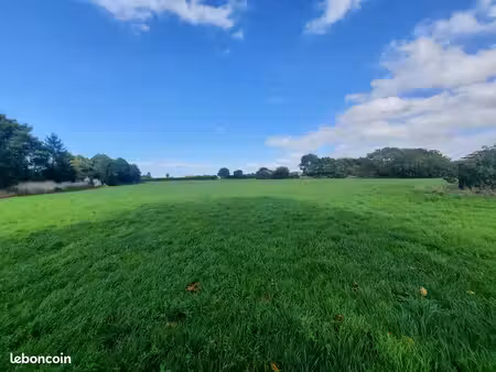maison avec dépendances et 4 500 m² de terrain constructible – fort potentiel