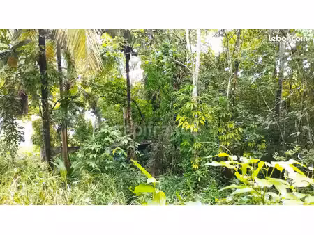 terrain 1 000 m² morne a l eau