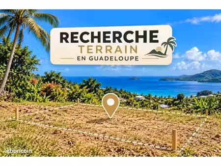 recherche terrain en guadeloupe