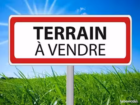 terrain 8 037 m² petit bourg