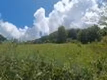 terrain à vendre