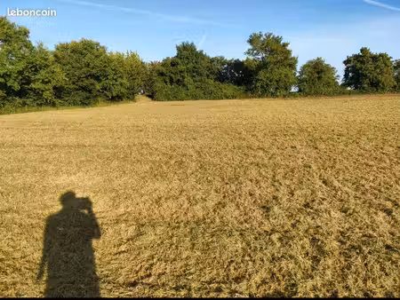 terrain à vendre