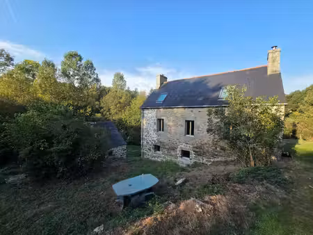 ancien moulin et maison - 4 hectares