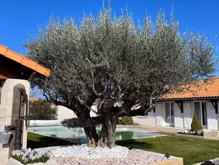 propriété plain-pied 130 m² + maison indépendante 62 m²  piscine