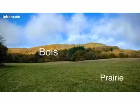 15 hectares - prairie & forêt