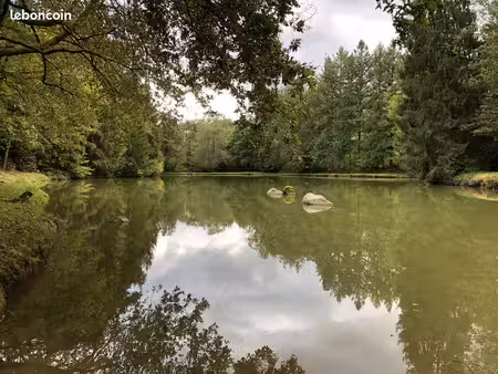 etang avec cabane au milieu des bois