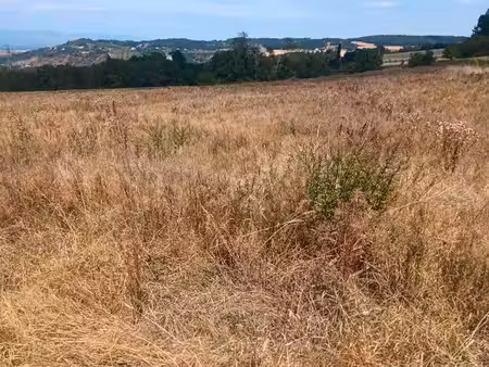 terrain agricole