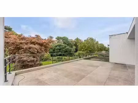 maison exceptionnelle à vendre à westerlo pour € 595.000 avec 5 chambres à coucher