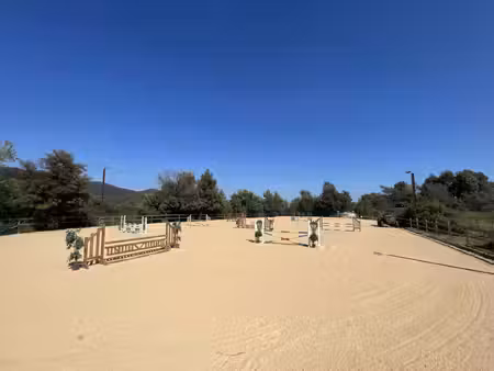 propriété équestre mandelieu-la-napoule - 5 chambres - 200m²