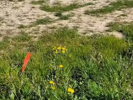 vente terrain à landéda (29870) : à vendre / landéda