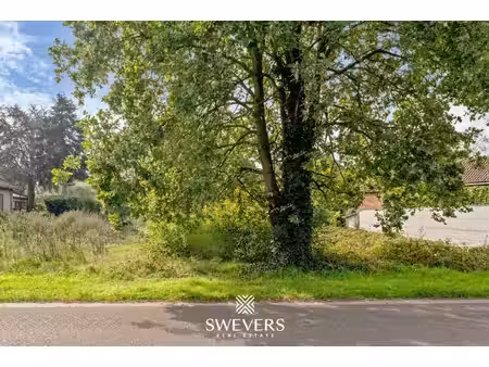swevers real estate
