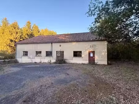 vente immeuble 1 pièce 190 m² à rochechouart (87600)  30 000 €