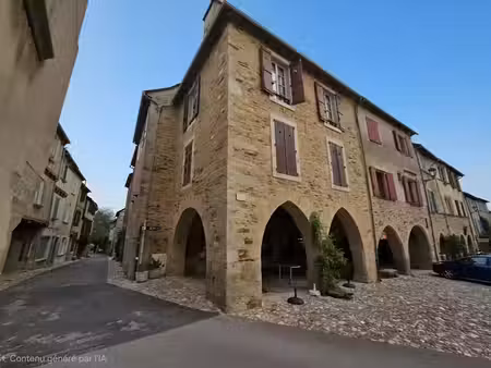 vente immeuble 12 pièces 275 m² à sauveterre-de-rouergue (12800)  199 500 €