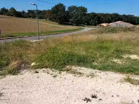 achat terrain 11 863m² mauvezin 32120
