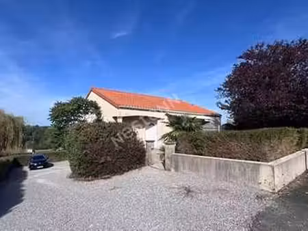 vente maison à liré (49530) : à vendre / 101m² liré