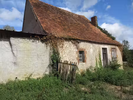 achat immeuble 31m² chazelet 36170