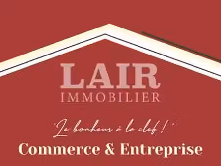 vente terrain à damigny (61250) : à vendre / 8000m² damigny