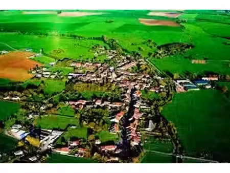 vente terrain 982 m² à breuvannes-en-bassigny (52240)  12 962 €