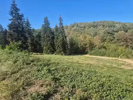 vente terrain 985 m² à cublac (19520)  24 000 €