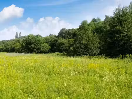 vente terrain 600 m² à mainxe (16200)  21 000 €