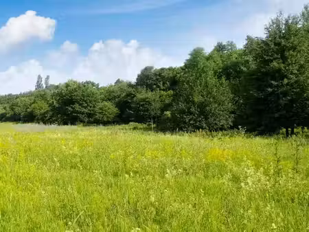 vente terrain 600 m² à mainxe (16200)  21 000 €