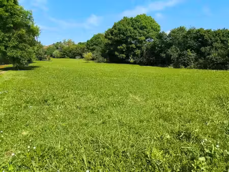 vente terrain 880 m² à saint-sulpice-de-cognac (16370)  25 000 €