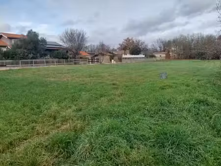 vente terrain 300 m² à lavaur (81500)  36 000 €