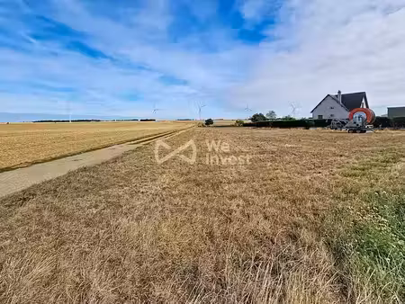 vente terrain à batir 641 m² à guigneville (45300)  35 000 €