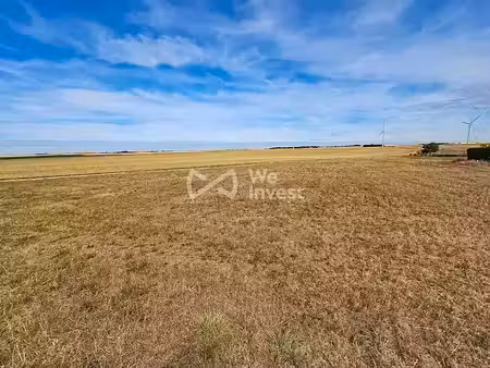 vente terrain à batir 732 m² à guigneville (45300)  39 000 €