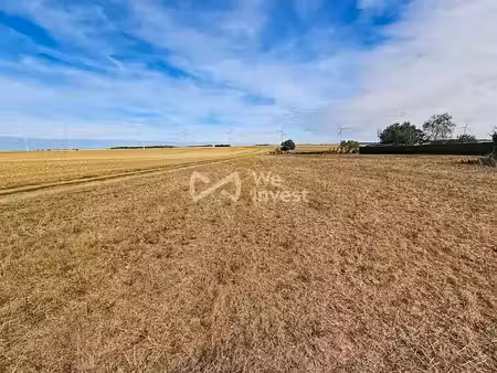 vente terrain à batir 879 m² à guigneville (45300)  33 000 €