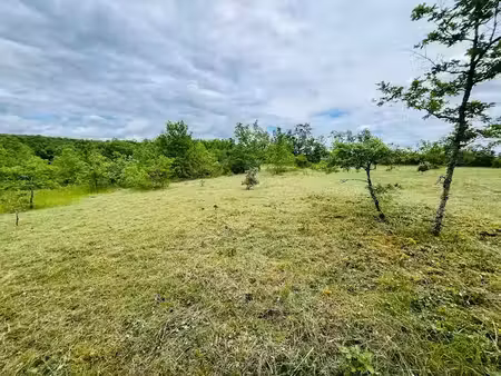 vente terrain 3123 m² à chavagnac (24120)  20 000 €