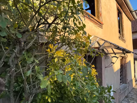 achat maison 5 pièces 100m² ville 67220