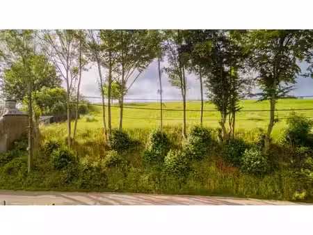 terrain à vendre à le brûlis 202 attert (vbe77571)