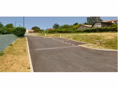 le tournesol lot numéro 2