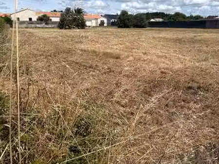 vente terrain à saint-gilles-croix-de-vie croix de vie (85800) : à vendre / 1000m² saint-g