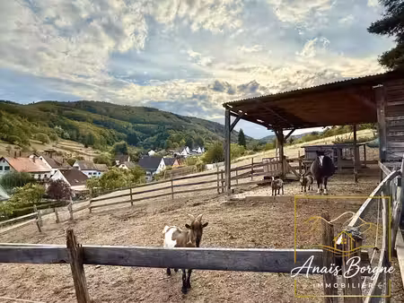 maison rénovée sur 38 ares de terrain