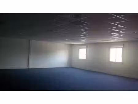location bureaux toulouse 31200 240m²
