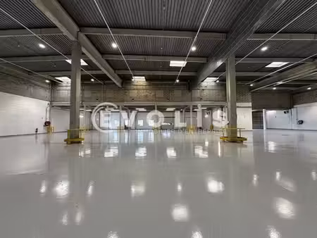 location local d’activités 80m² à 9711m²