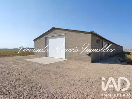 hangar à laas (45300)