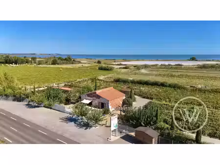 immobilier professionnel à vendre mireval