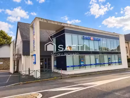 vente locaux professionnels 17 pièces 479 m² à chateaubriant (44110)  525 000 €