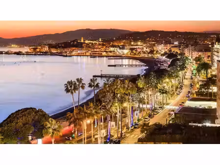 vente locaux professionnels 0 pièces 144 m² à cannes (06400)  399 999 €